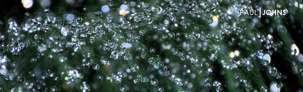 Water Fountain, Saint Francis University